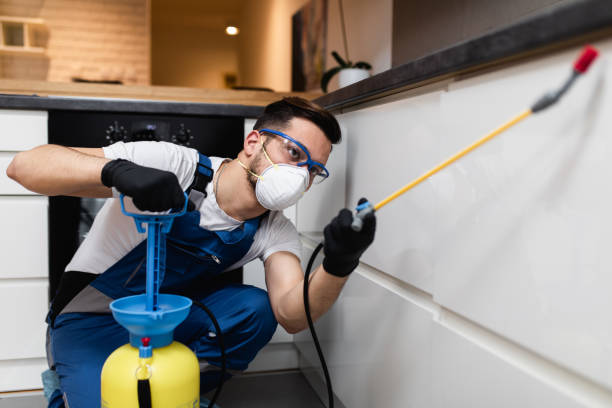 Best Pest Control Near Me  in Belle, WV