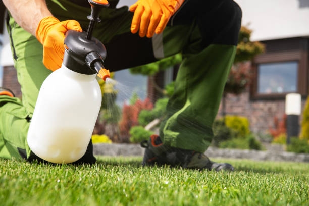 Best Cockroach Control Services  in Belle, WV