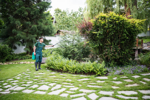 Best Residential Pest Control  in Belle, WV