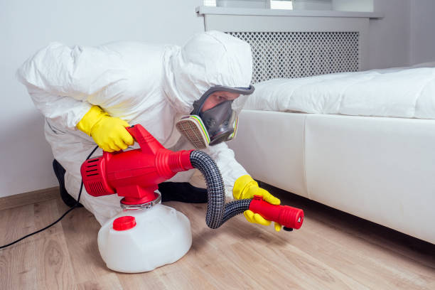 Professional Pest Control in Belle, WV