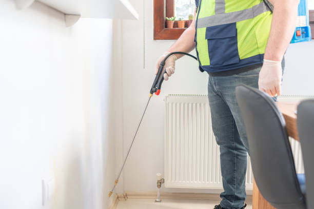Best Mosquito Control Services  in Belle, WV