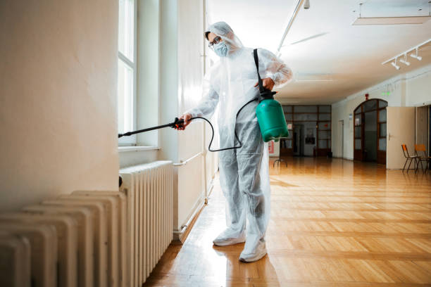 Best Wildlife Control Services  in Belle, WV
